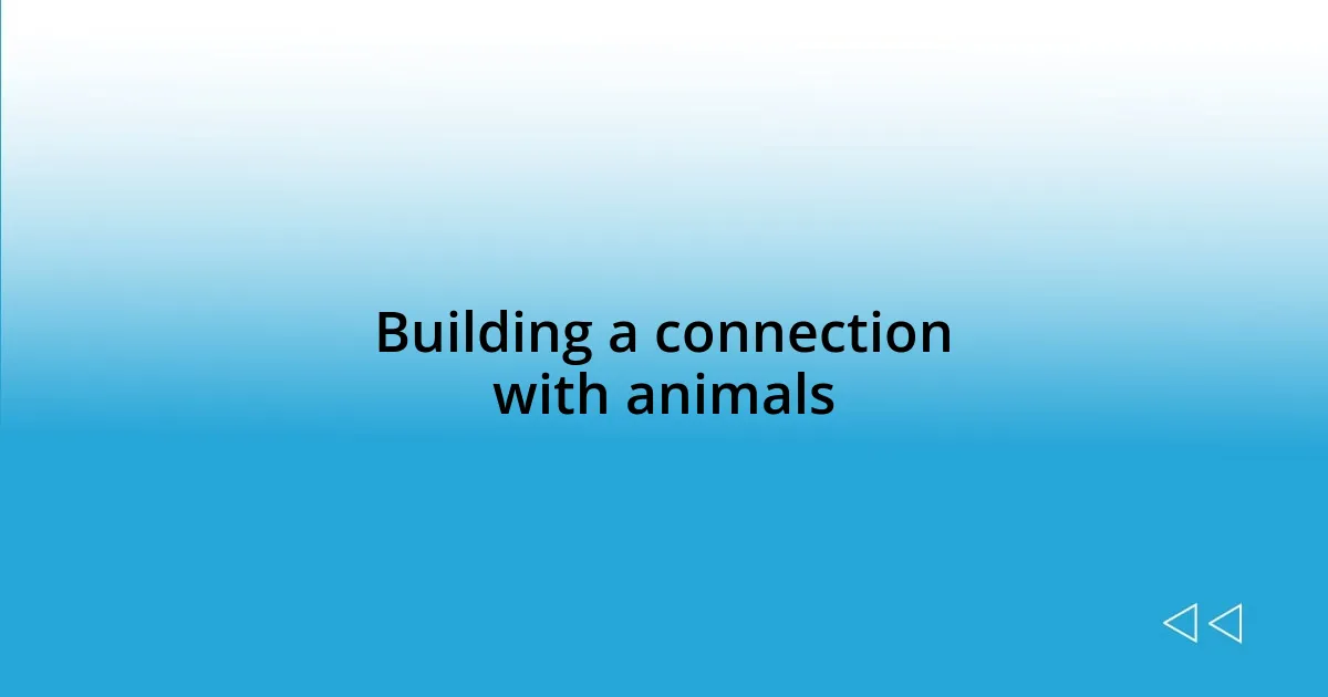 Building a connection with animals